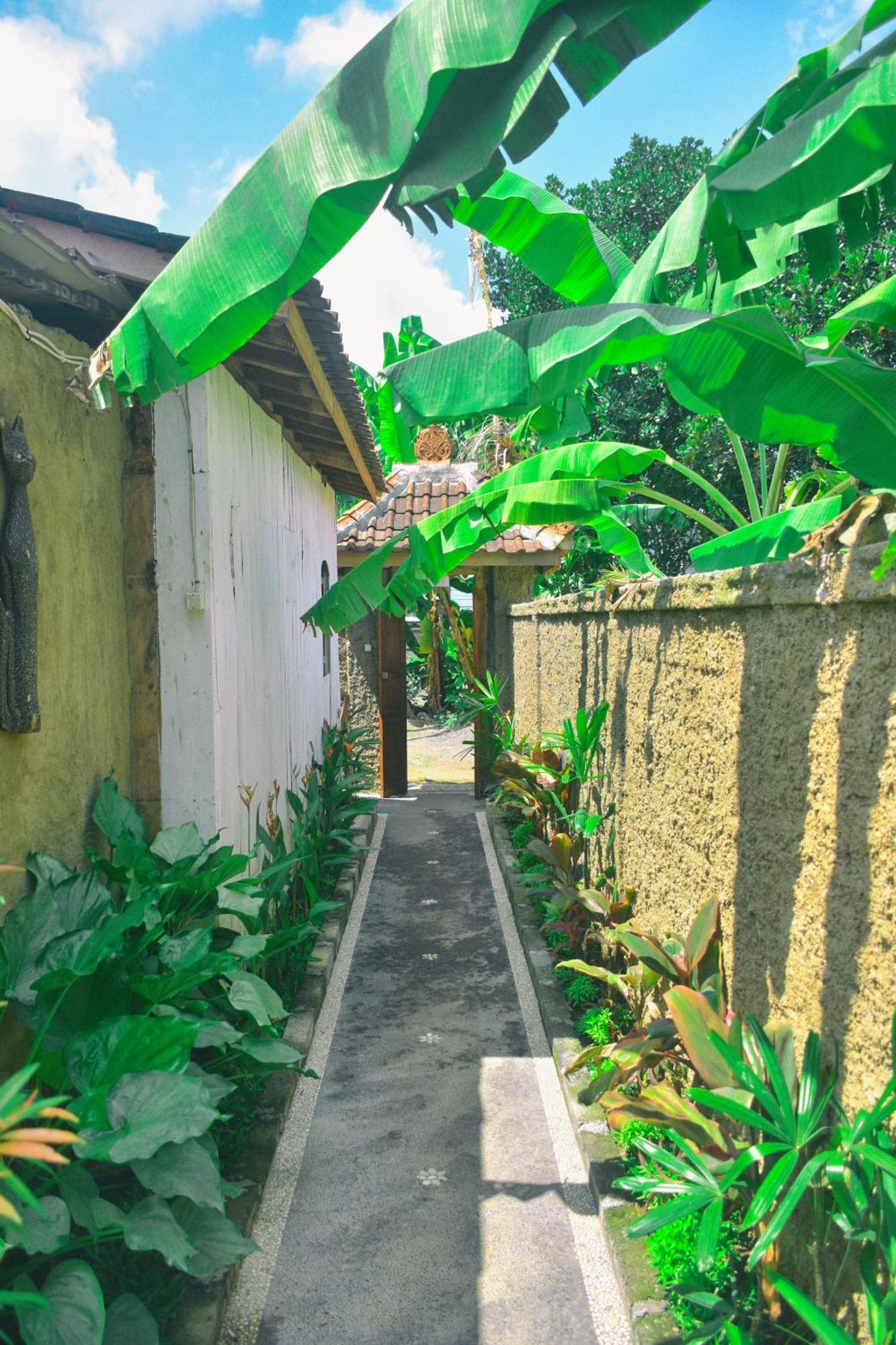 אובוד Ume Sita Villa And Homestay מראה חיצוני תמונה